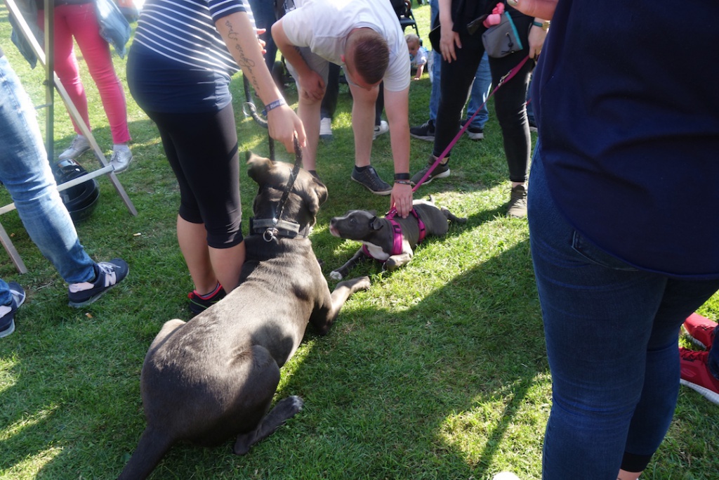 Galerie DSC02827.JPG