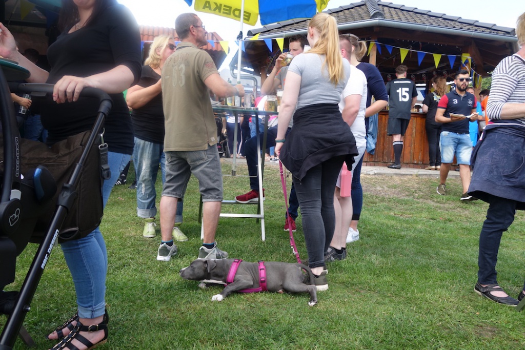 Galerie DSC02780.JPG