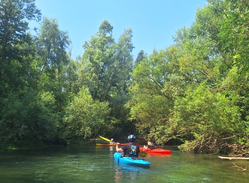 Galerie 20230709_125628.jpg