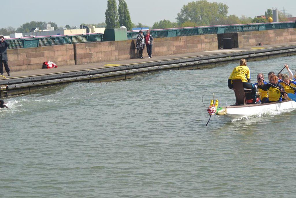 Galerie Alte Fahrt 06-05-2017 (375).jpg