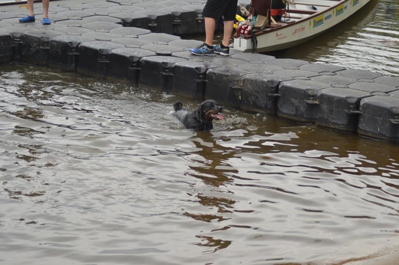 Galerie Weserdrachencup 2017 (6).jpg